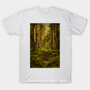 Foel Fynyddau Woodland - 2014 T-Shirt